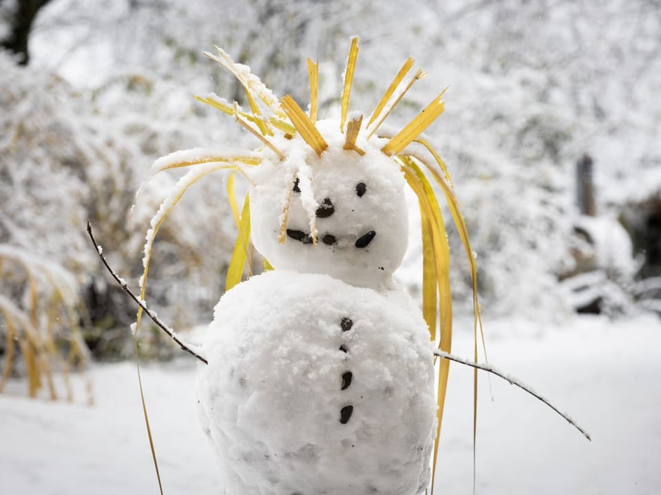 Ein Foto von einem Schneemann.