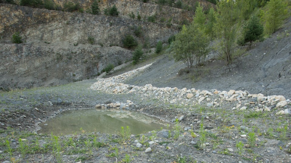 Öde Steinbruchlandschaft