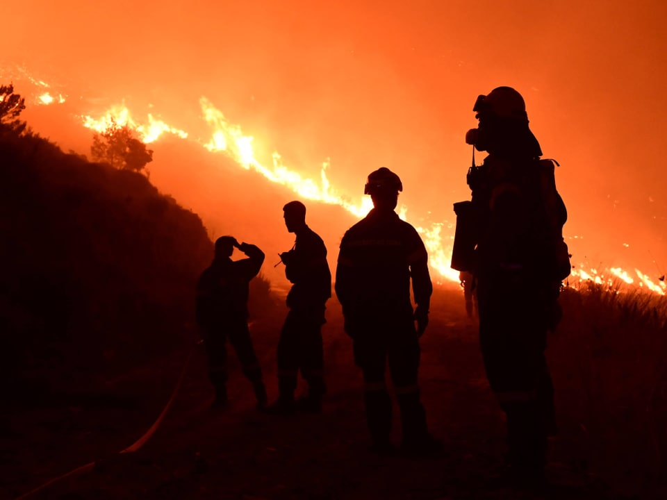 Feuerwehrleute vor Waldbrand bei Nacht.