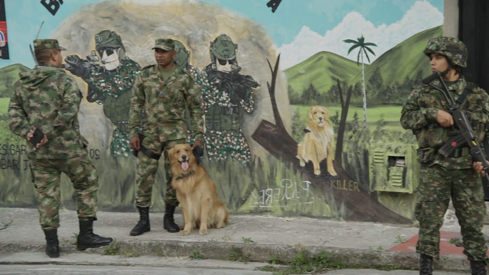 Drei Soldaten stehen mit einem Spürhund an einer Wand. 