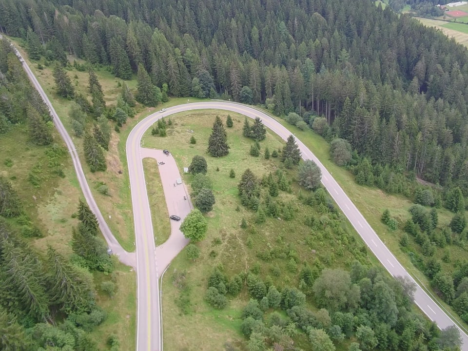 Luftaufnahme einer kurvigen Strasse durch bewaldetes Gebiet.