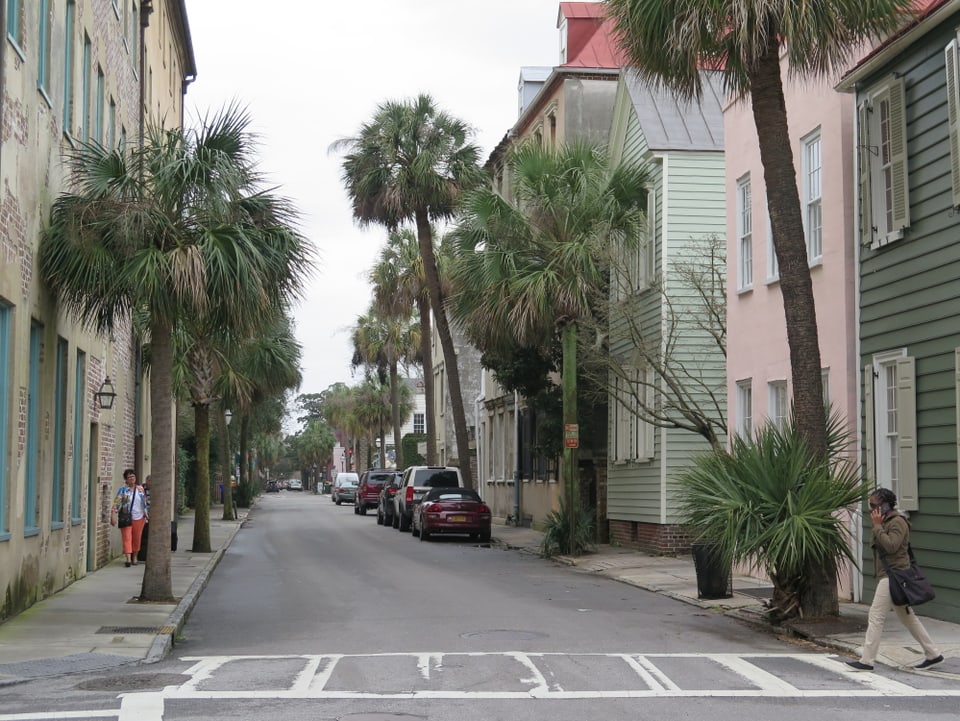 Eine Strasse in Charleston zeigt Palmen am Rand und mittelgrosse Häuser. Einige Häuser sind farbenfroh gestrichen, in Pastellfarben wie Rosa oder Mint.