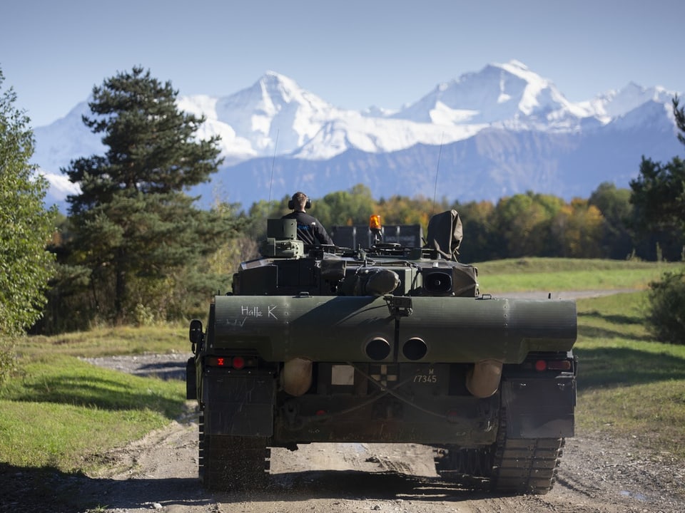 Panzer auf einem Waldweg vor schneebedeckten Bergen.