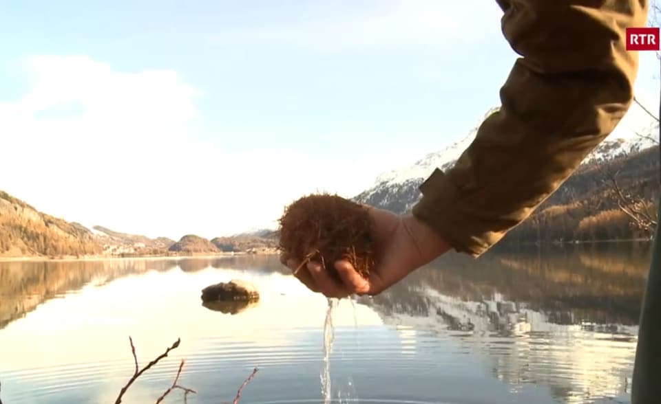 Eine Silserkugel aus dem Silsersee. Erlaubt jedoch nur vom Ufer aus. 