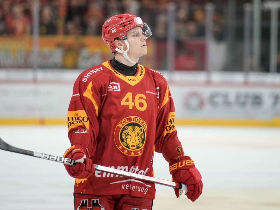 Eishockeyspieler im roten Trikot auf dem Eis.