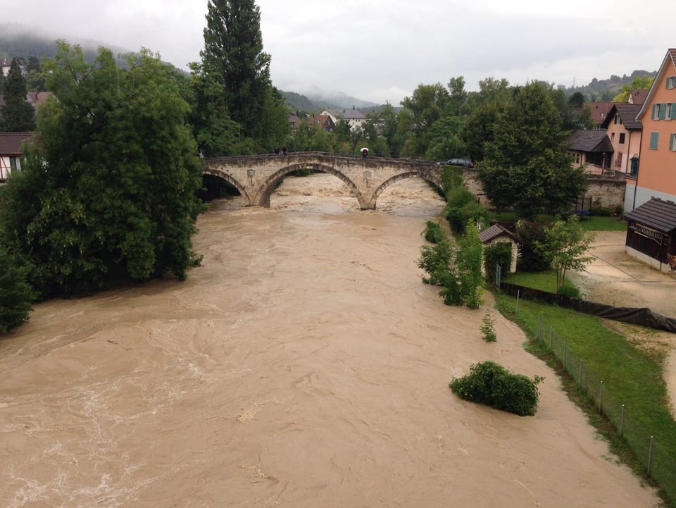 Fluss mit hohem Wasserstand und braunem Wasser