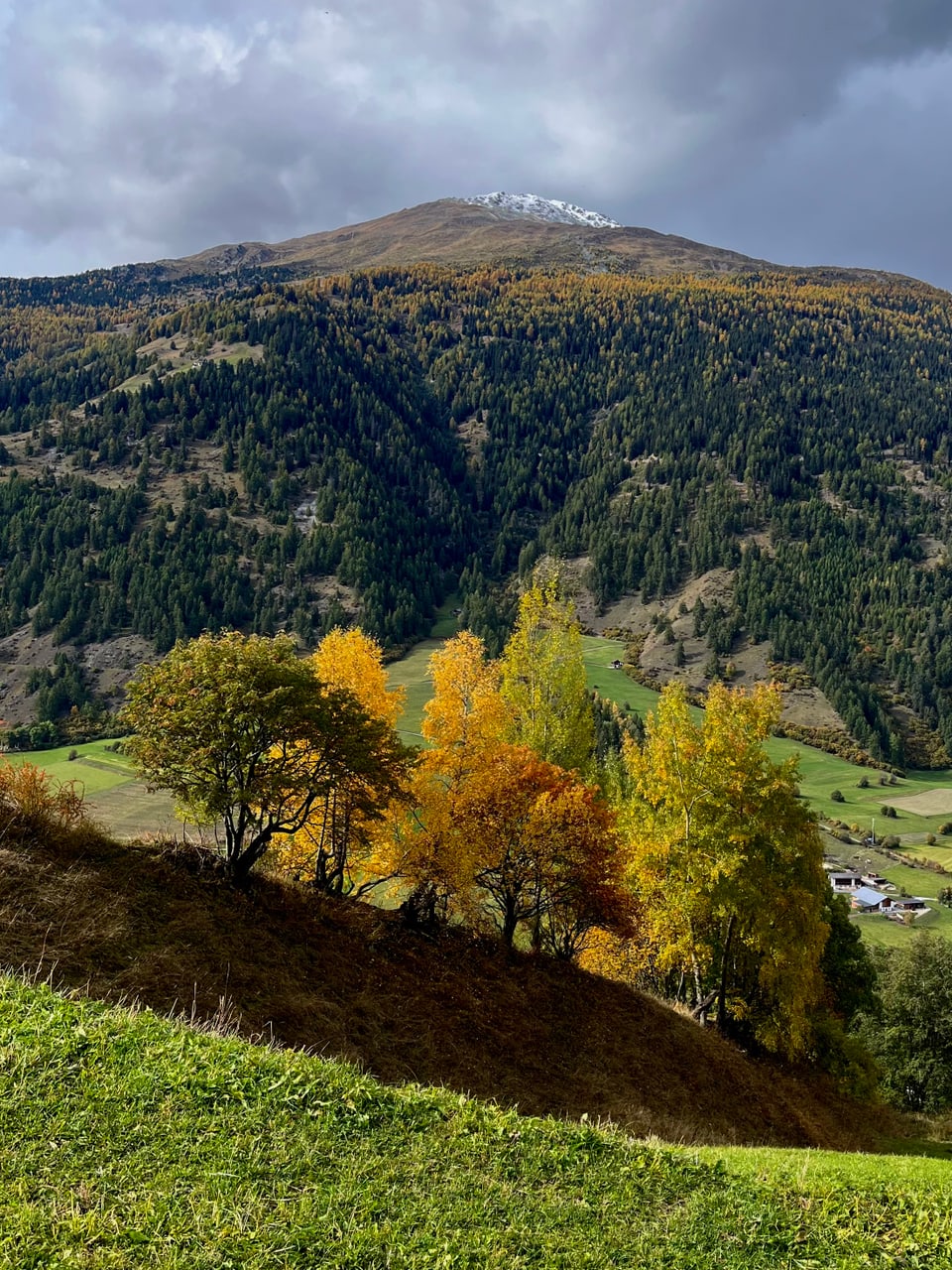 Bunte Herbstbäume vor Bergkulisse.