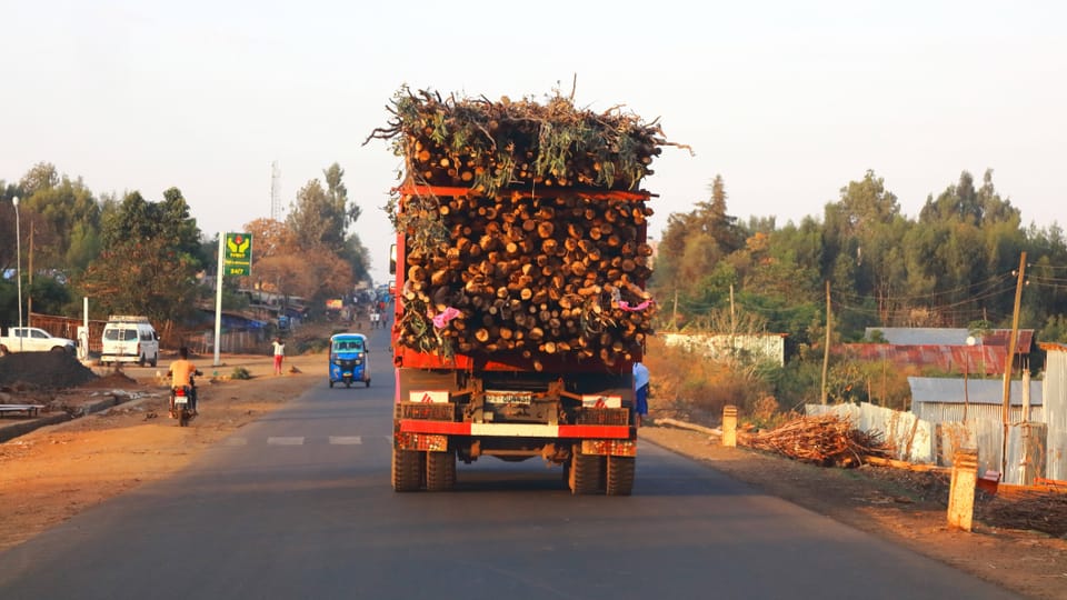 Ein Lastwagen transportiert Holz auf einer Landstrasse in Äthiopien.