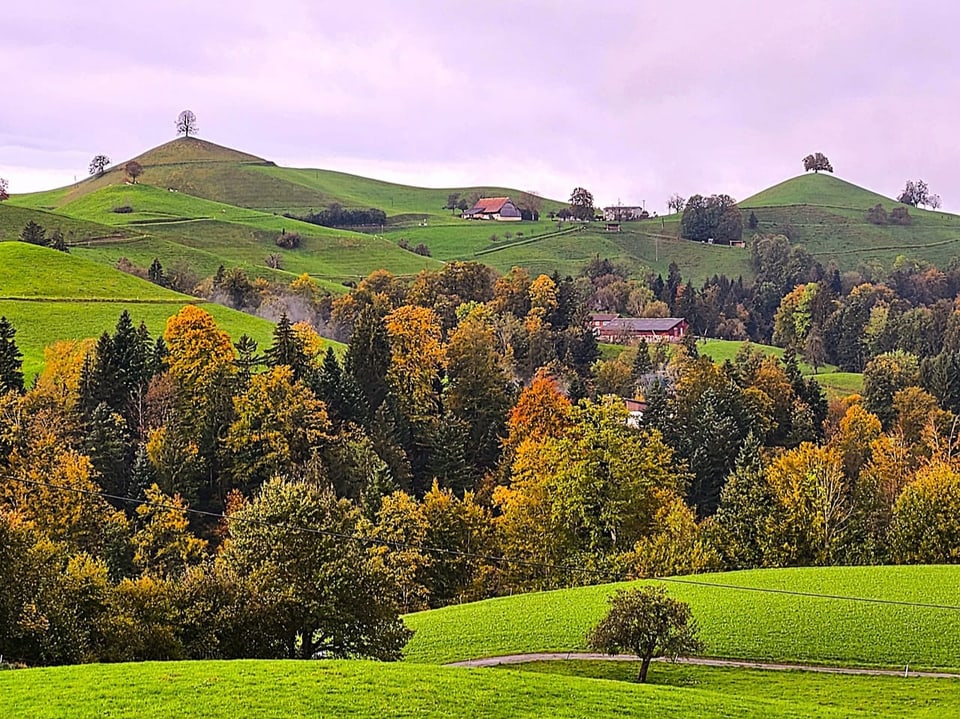 Herbstlandschaft mit grünen Hügeln und Bäumen.