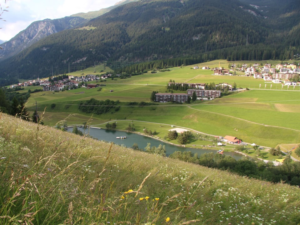 La parcella Viols sper il lai Barnagn, a l'ur dal vitg da Savognin.