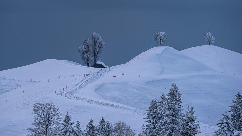 Verschneite Hügelkuppen im Emmental.