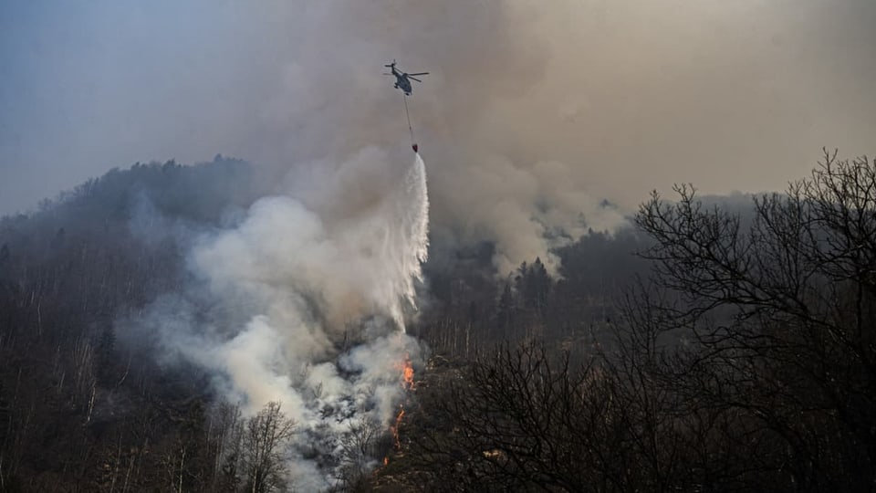 Ein Helikopter wirft Wasser über einem Stück Waldbrand ab.