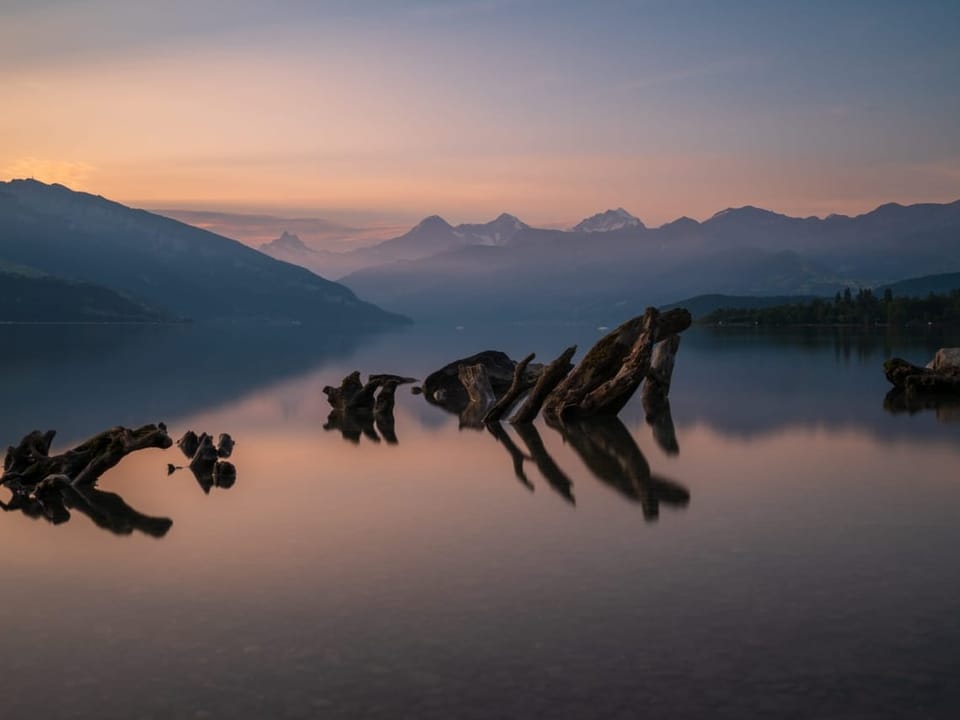 Sonnenuntergang über ruhigem See mit Bergblick und Holzstücken im Wasser.