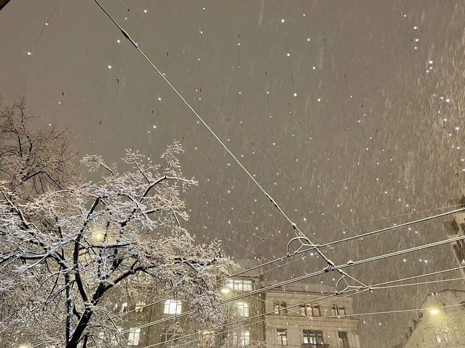 Schneefall in der Stadt bei Nacht, beleuchtete Gebäude und vereiste Bäume.