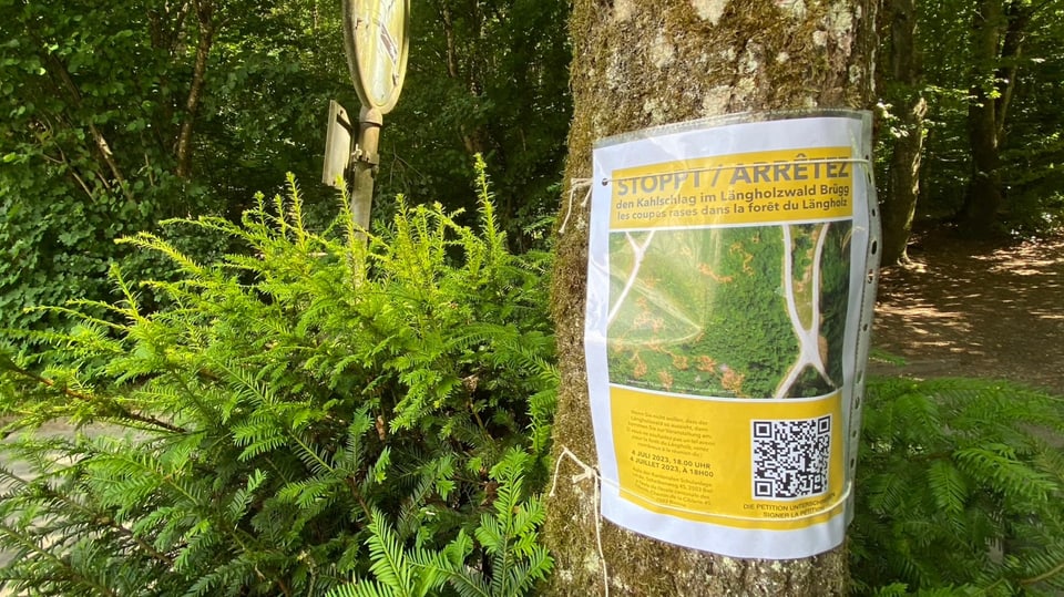 Eine Petition in einer Plastikhülle an einem Baumstamm befestigt.