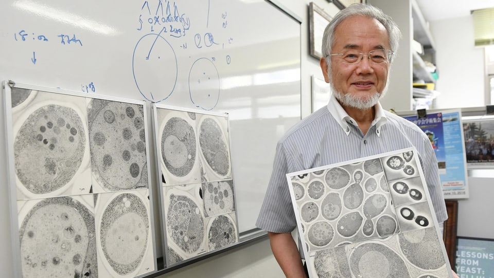 Yoshinori Ohsumi im Porträt mit Bildern in der Hand