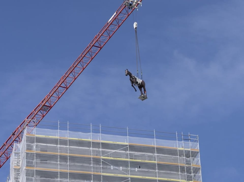 Pferd wird mit einem Kran auf einem Hochhaus platziert.