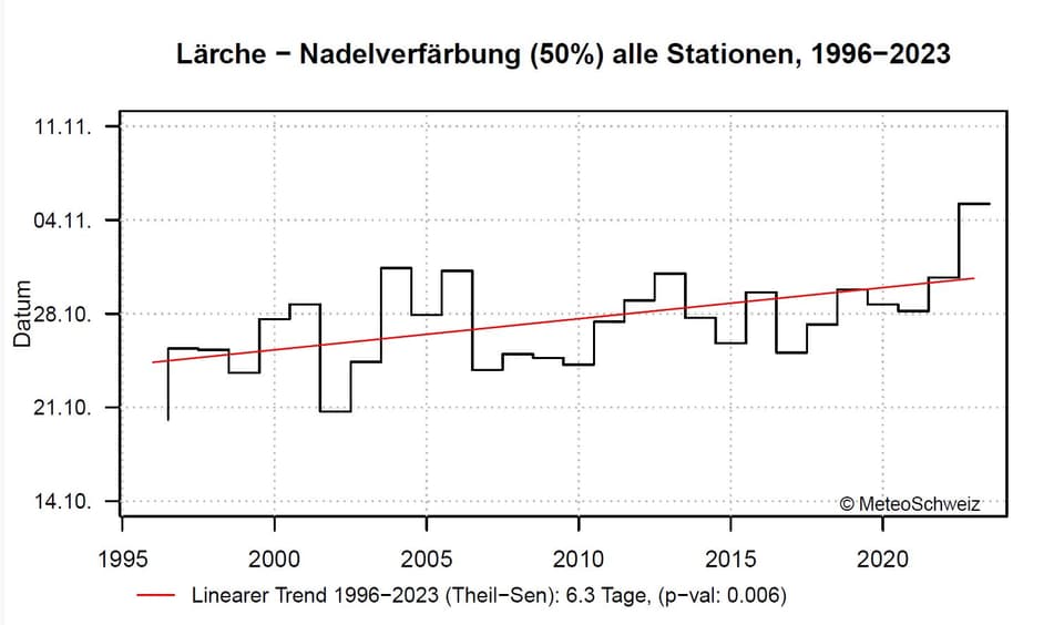 Blattverfärbung: 6,3 Tage später