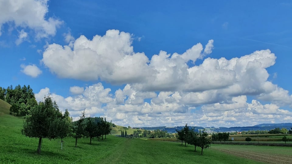 Eine Gruppe Quellwolken über Obstbäumen in Willisau.