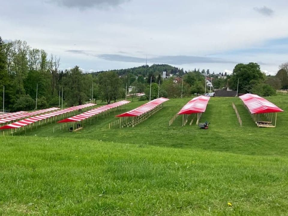 Rot-weiss gestreifte Stoffdächer auf der Kinderfestwiese in St. Gallen.