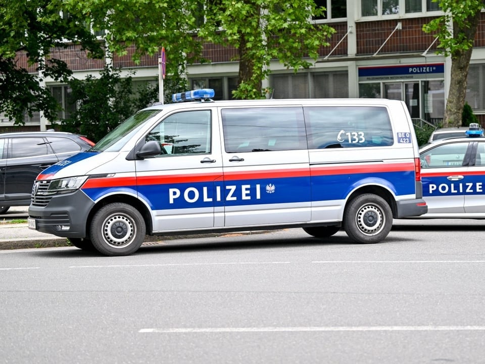 Polizeiwagen auf der Strasse geparkt.