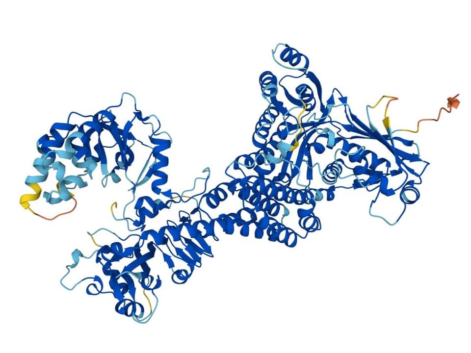 3D-Proteinstruktur mit blauen Bändern.