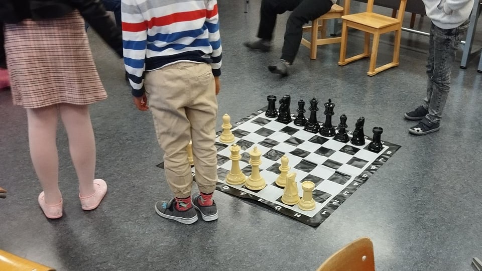 Schach spielen lernen in weniger als 10 Minuten 