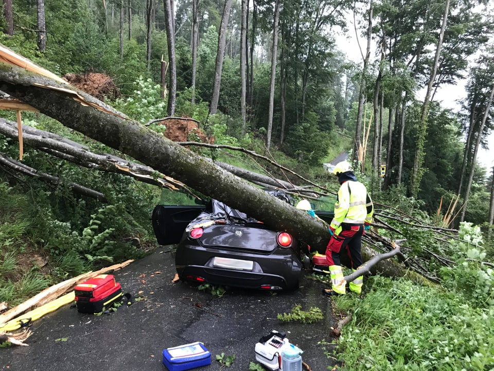 Baum ist auf Auto umgekippt.