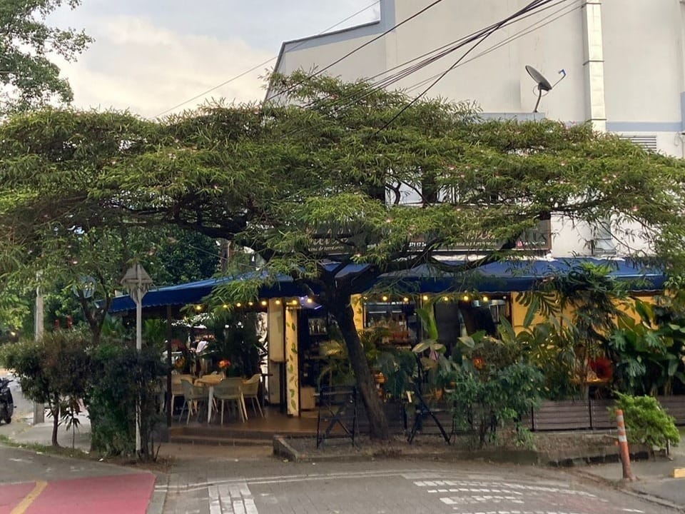A street cafe under a tree next to a building.