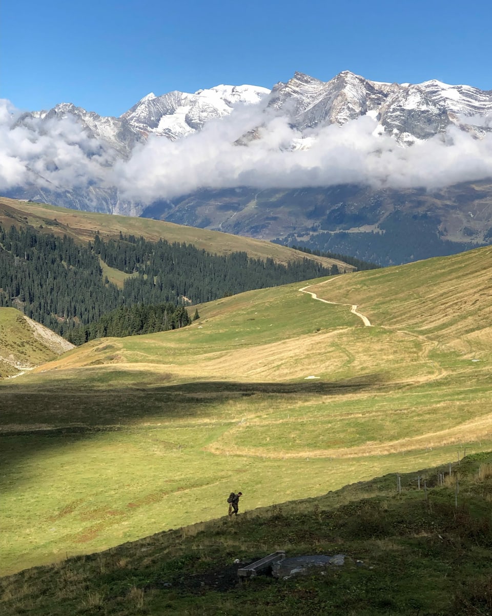 Panorama da l'alp Naul cun prada ell sulegl e culms cun naiv.