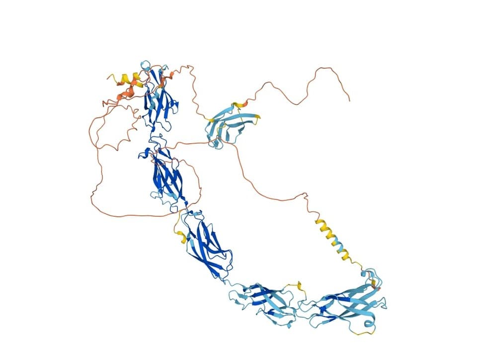 Proteinstruktur-Modell in verschiedenen Farben.