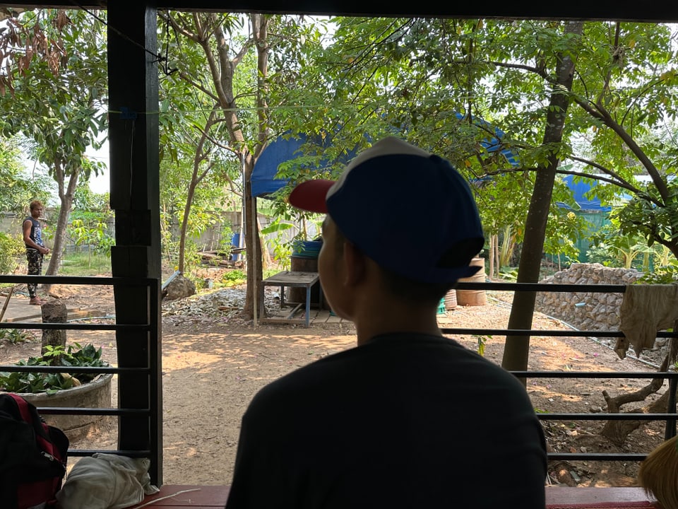 Junge mit Kappe schaut von einer Veranda aus auf einen ländlichen Garten.