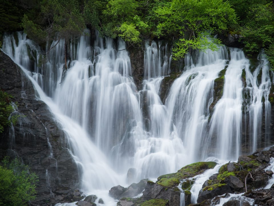 Schönes Bild eines Wasserfalls in einem Wald. 
