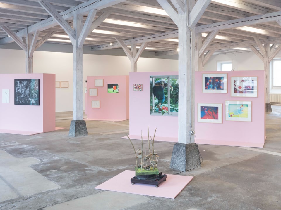 Moderne Kunstgalerie mit rosa Wänden und Bildern.