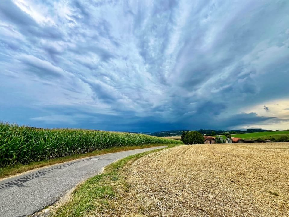 Wolkenverhangener Himmel über ländlichen Feldern und einem Weg.