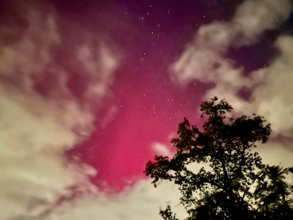 Nachthimmel mit rötlich schimmernden Wolken und Baum im Vordergrund.