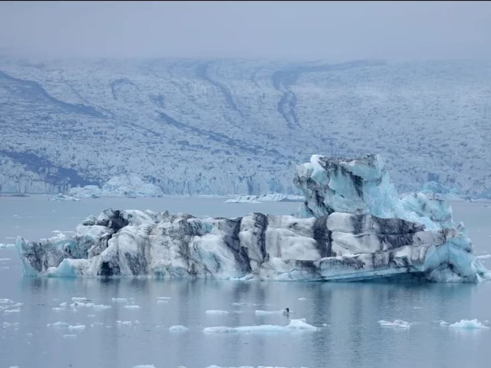 Grosser Eisberg im Meer vor schneebedeckter Küste.