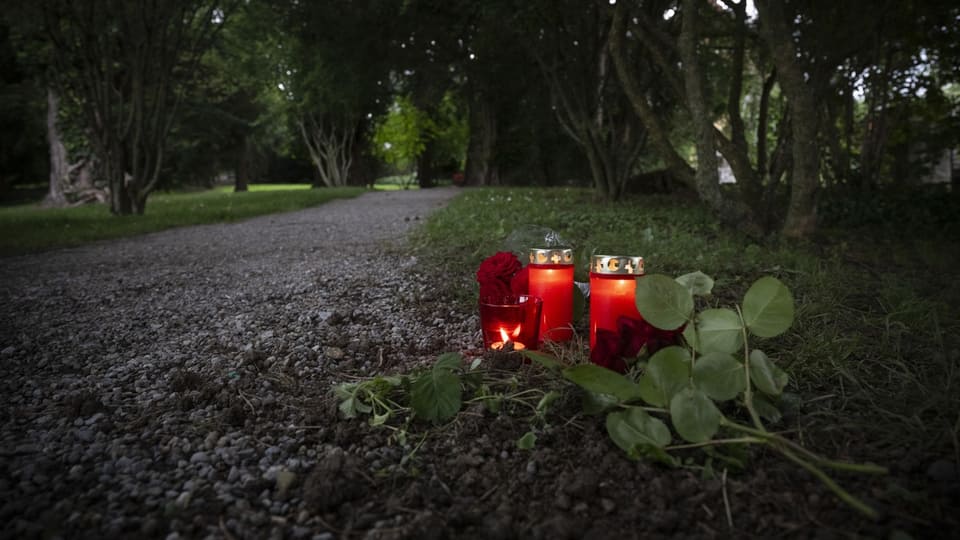 Drei rote Grablichter und rote Rosen auf dem Boden neben einem Weg im Wald.