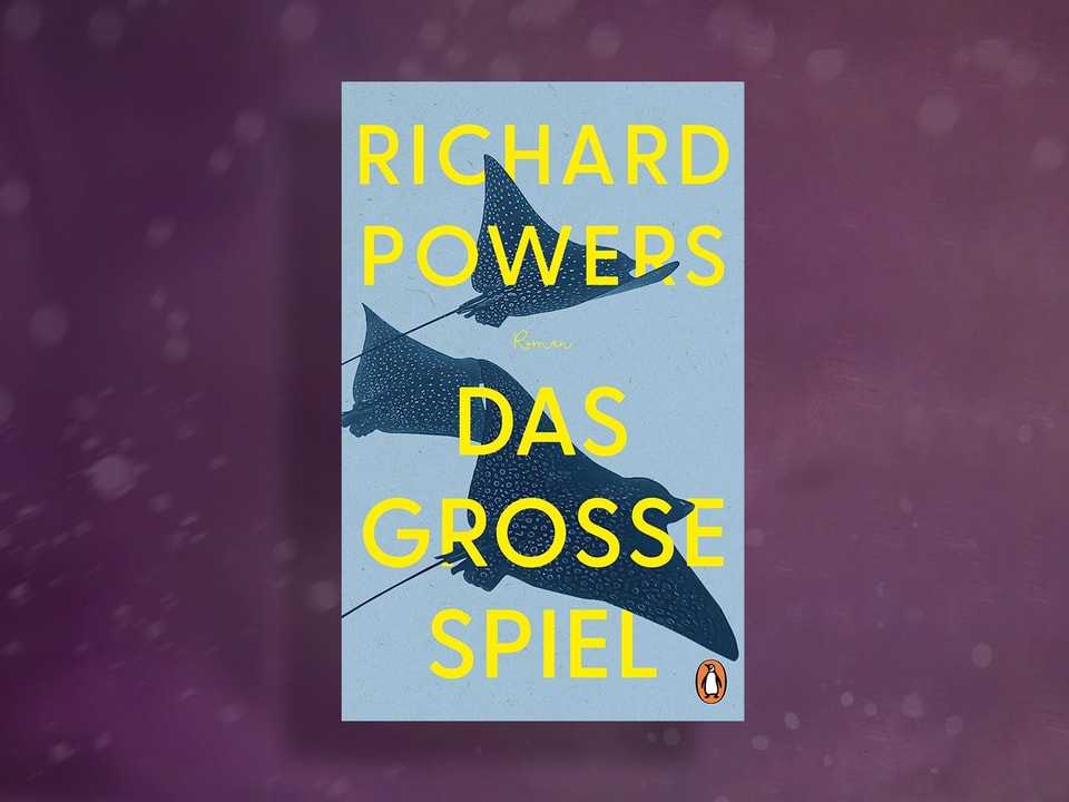 Das Buchcover zeigt drei Roche auf blauem Hintergrund.