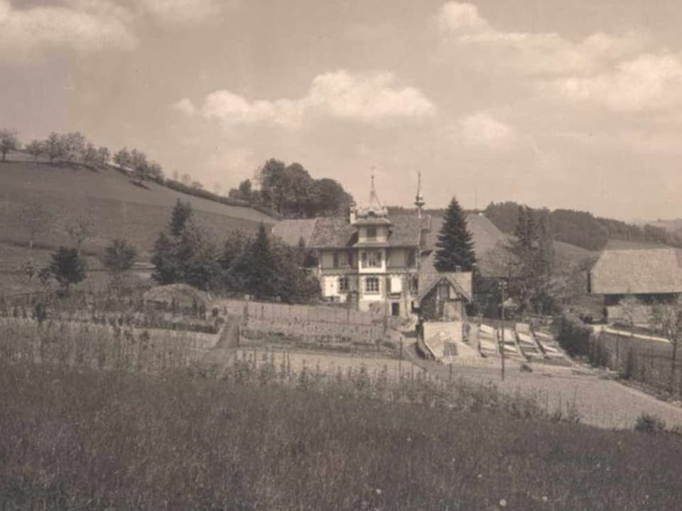 Dahlienschau, im HIntergrund Bauernhof. Historisches Schwarzweissfoto.