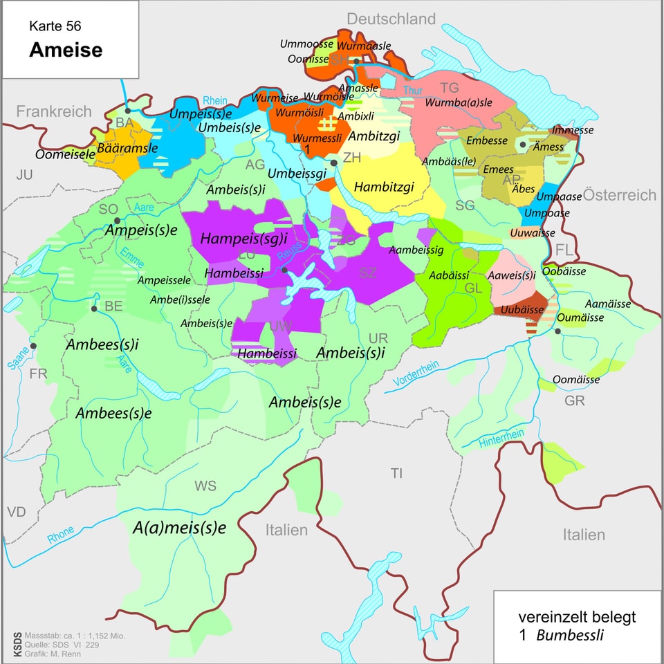Eine Dialektkarte der Deutschschweiz mit Varianten des Wortes «Ameise» und entsprechend eingefärbten Gebieten.