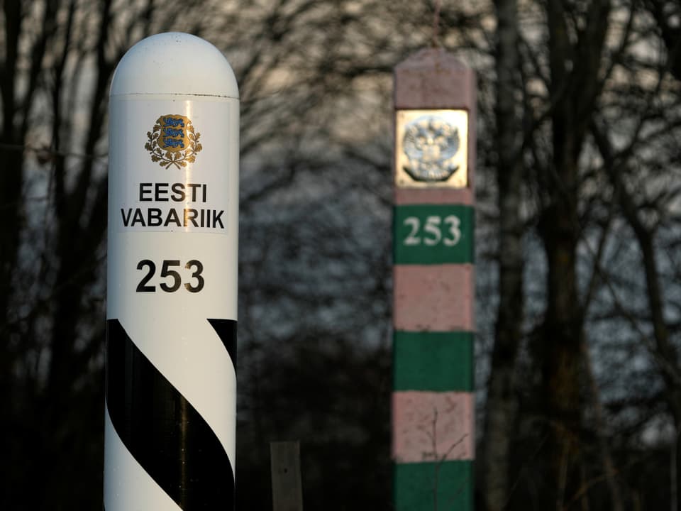 Zwei Pfosten im Wald