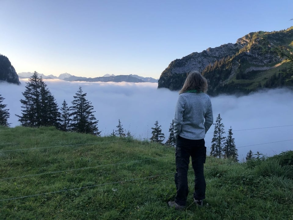 Ralph Wicki blickt auf das Nebelmeer, welches sich unter der Alp Morgeten gebildet hat. 