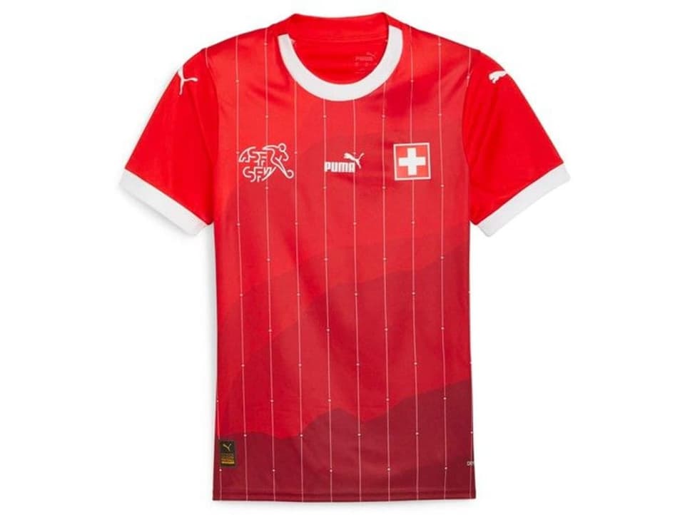 Das Schweizer Heimshirt