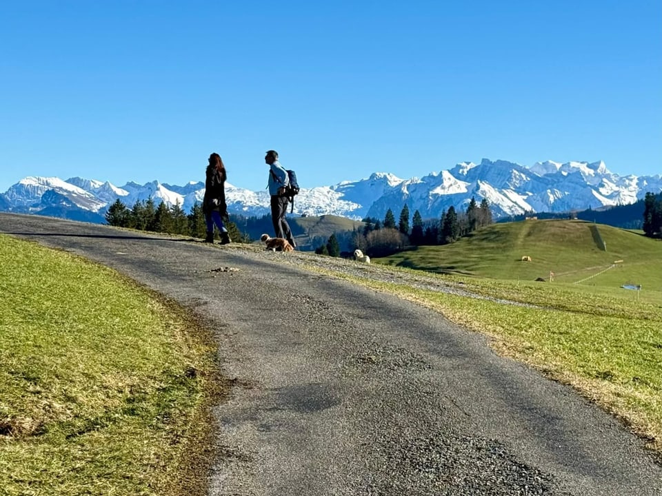 Menschen mit Hund am Spazieren auf grünen Wiesen. Verschneite Berge im Hintergrund.