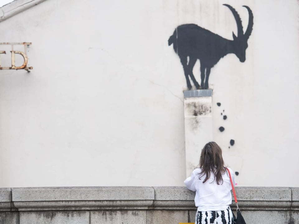 Person betrachtet Wandgemälde von einem Steinbock auf einer Mauer.