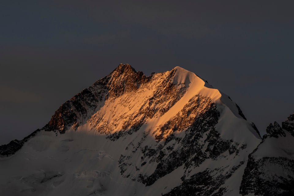 Berge Graubünden: Sonnenaufgang am Piz Bernina mit Biancograt