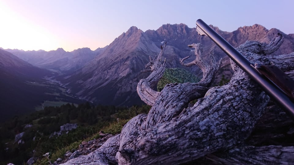 Vista sur Val Mora/Murtaröl da Bruno Oswald.