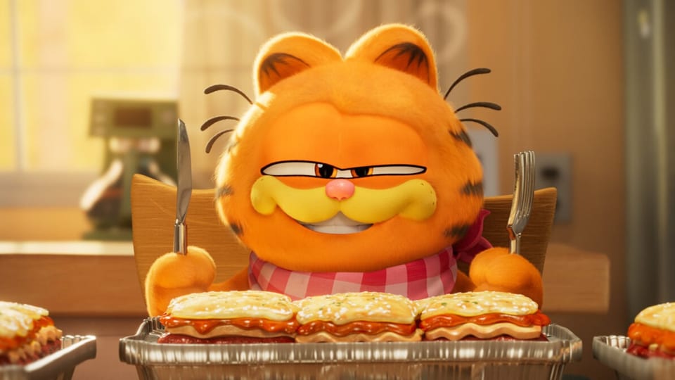 Eine Katze sitzt vor einer grossen Portion Lasagne.