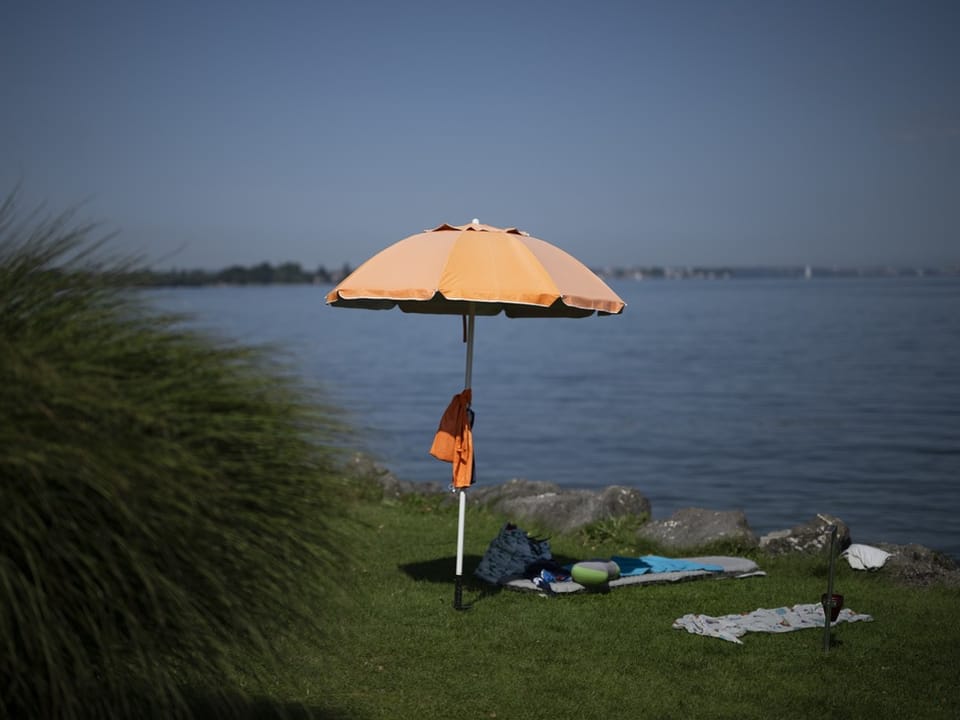 Sonnenschirm auf einer Wiese am See